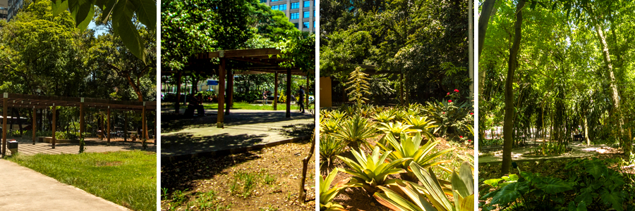 Imagem mostra vegetações do Parque Mário Covas. 